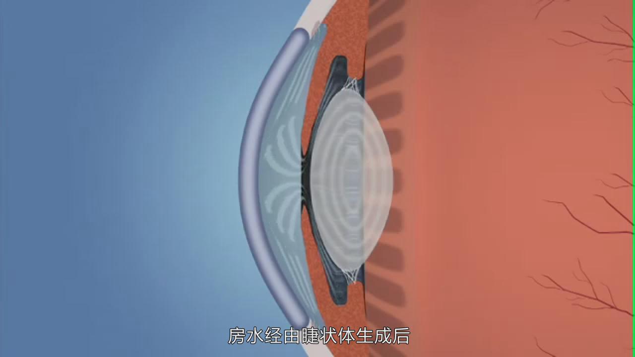 &#20048;&#31454;&#25163;&#26426;&#29256;&#45;&#20048;&#31454;&#108;&#101;&#106;&#105;&#110;&#103;&#40;&#20013;&#22269;&#41;