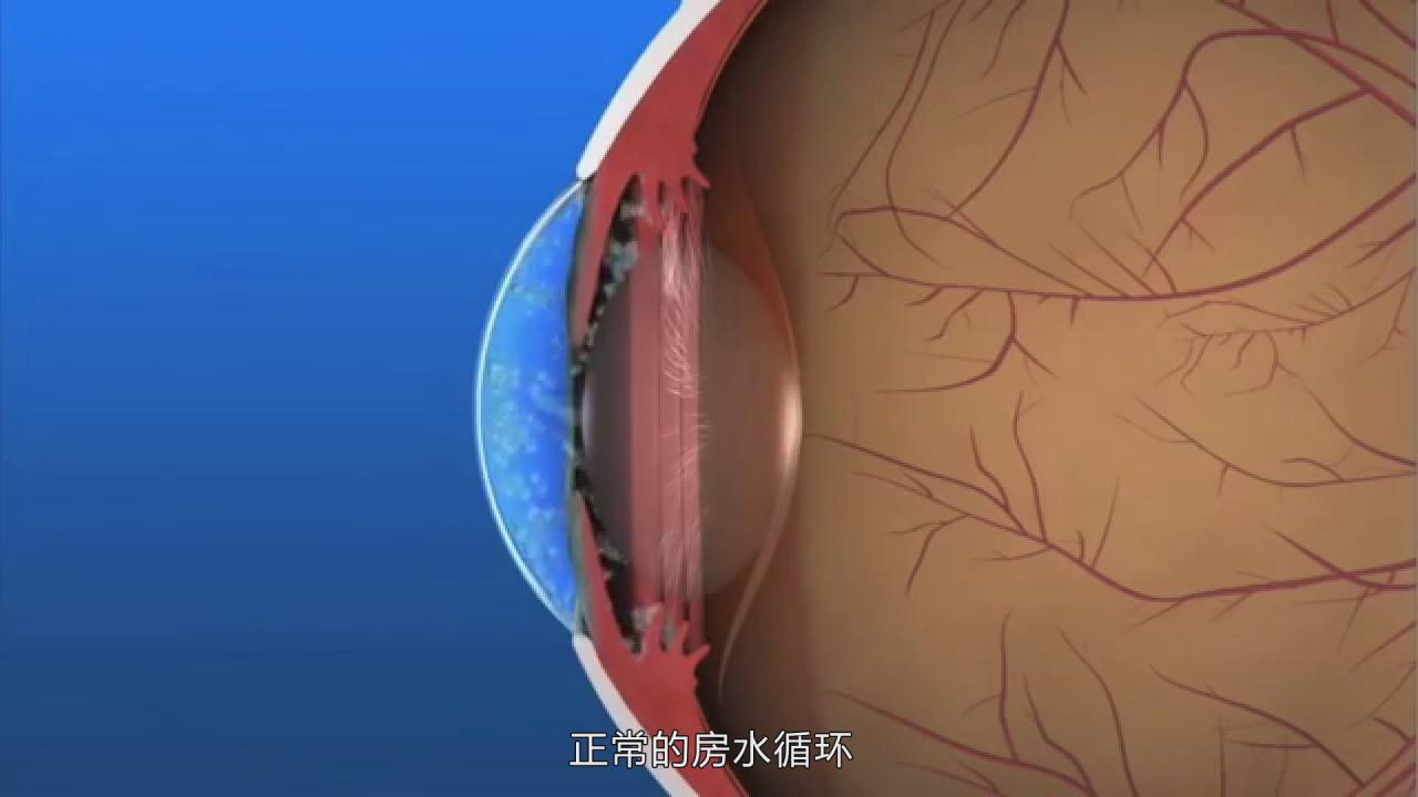 &#20048;&#31454;&#25163;&#26426;&#29256;&#45;&#20048;&#31454;&#108;&#101;&#106;&#105;&#110;&#103;&#40;&#20013;&#22269;&#41;