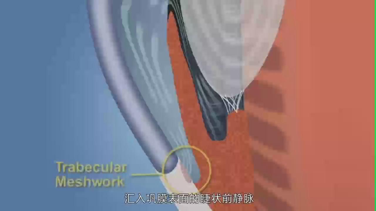 &#20048;&#31454;&#25163;&#26426;&#29256;&#45;&#20048;&#31454;&#108;&#101;&#106;&#105;&#110;&#103;&#40;&#20013;&#22269;&#41;